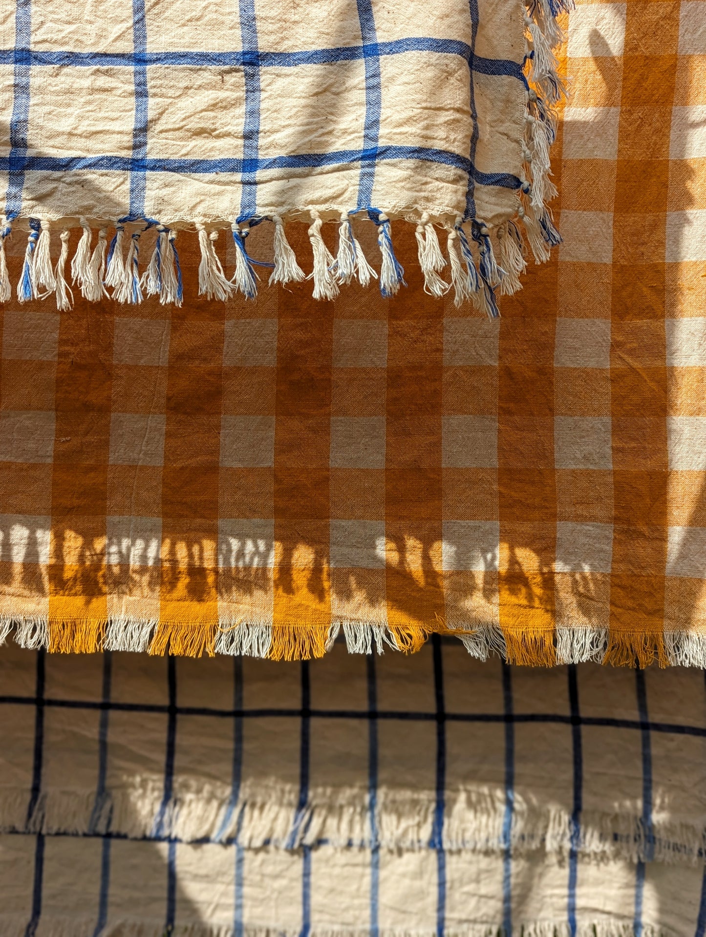 Marigold