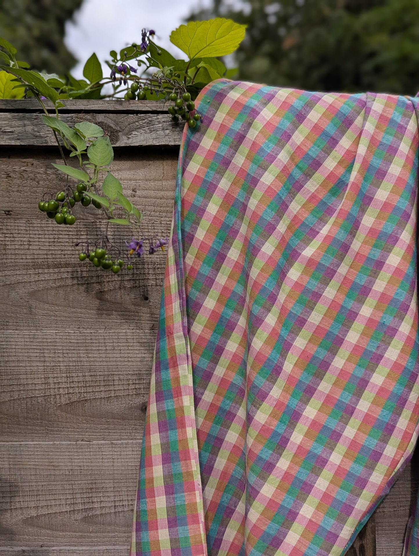 Women's Mala Trousers in Summer Berry Checks
