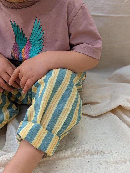 Basant Stripes Kurma Kids Trousers