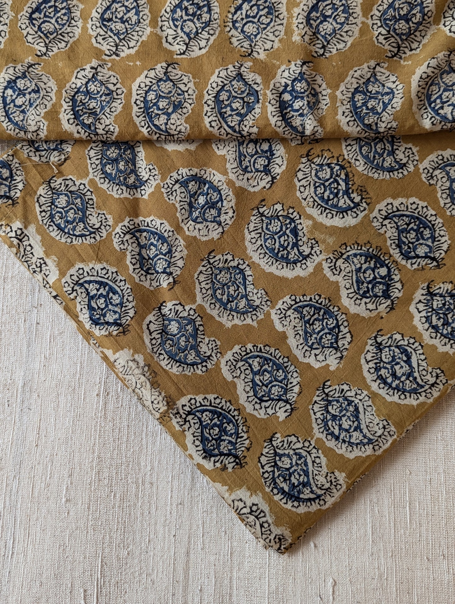 Kalamkari Fabric - Paisley