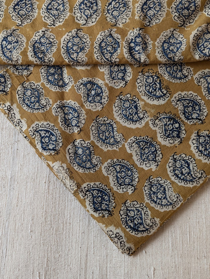 Kalamkari Fabric - Paisley