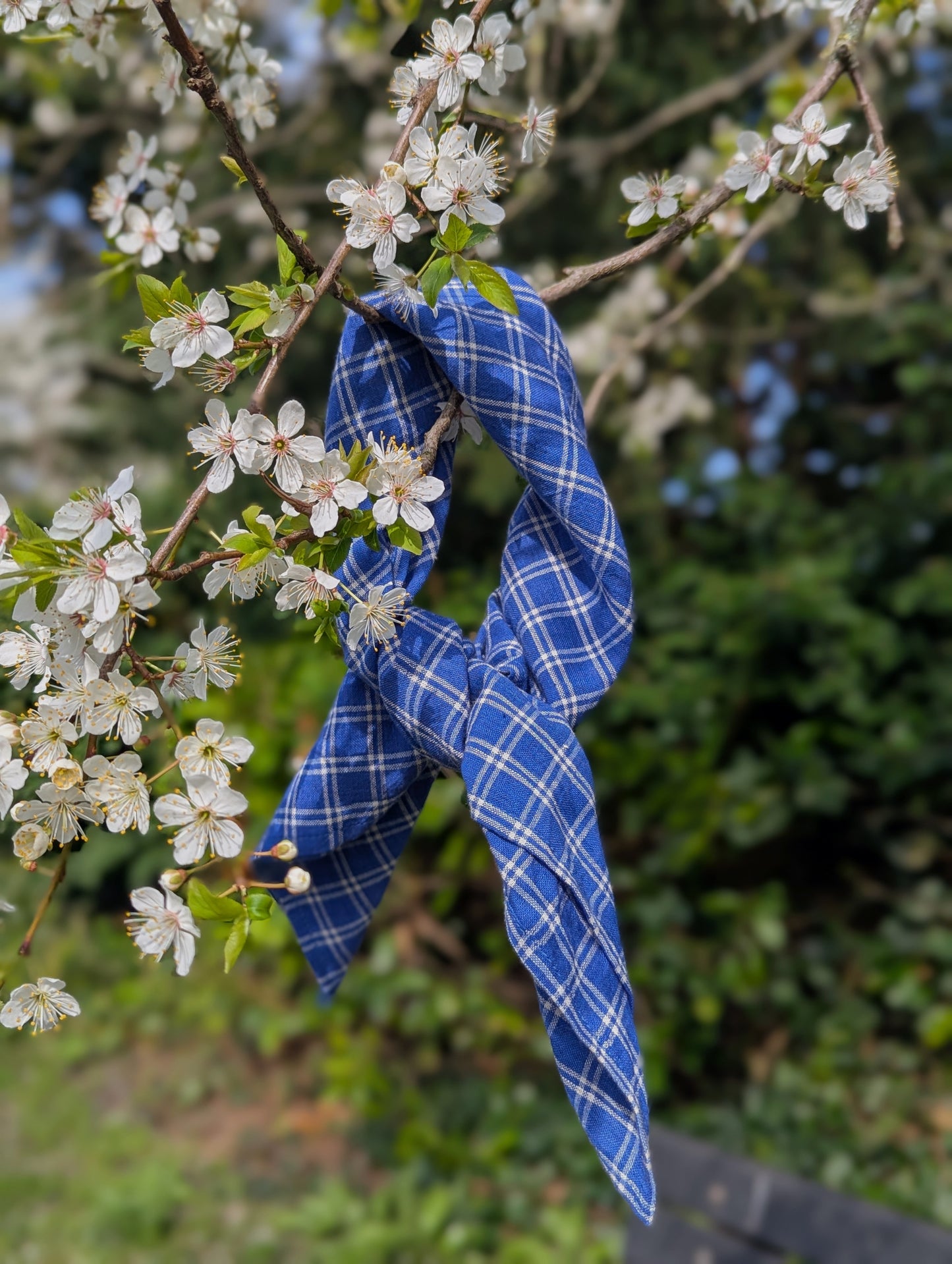 Neckerchief : Neelu Checks