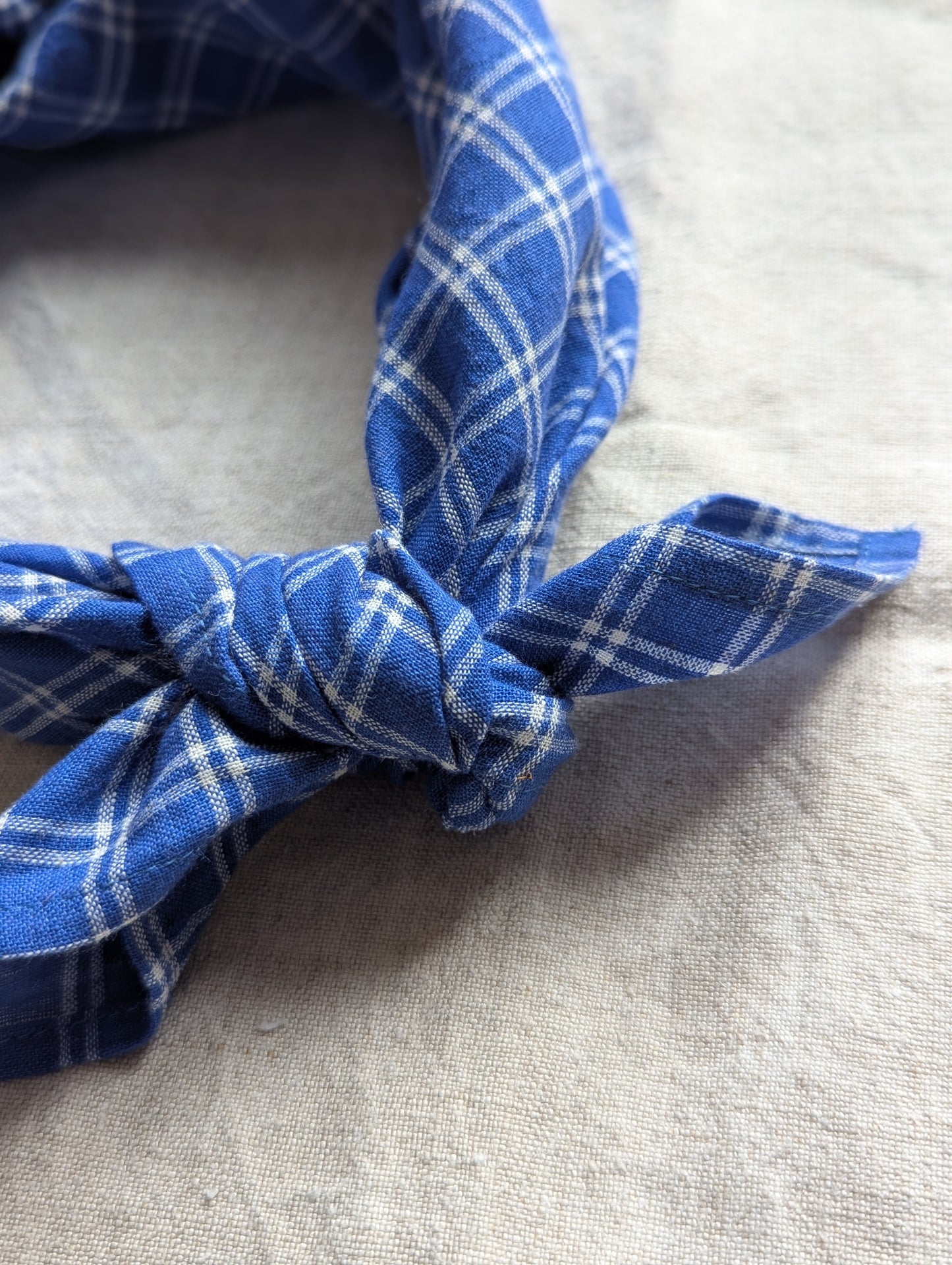 Neckerchief : Neelu Checks