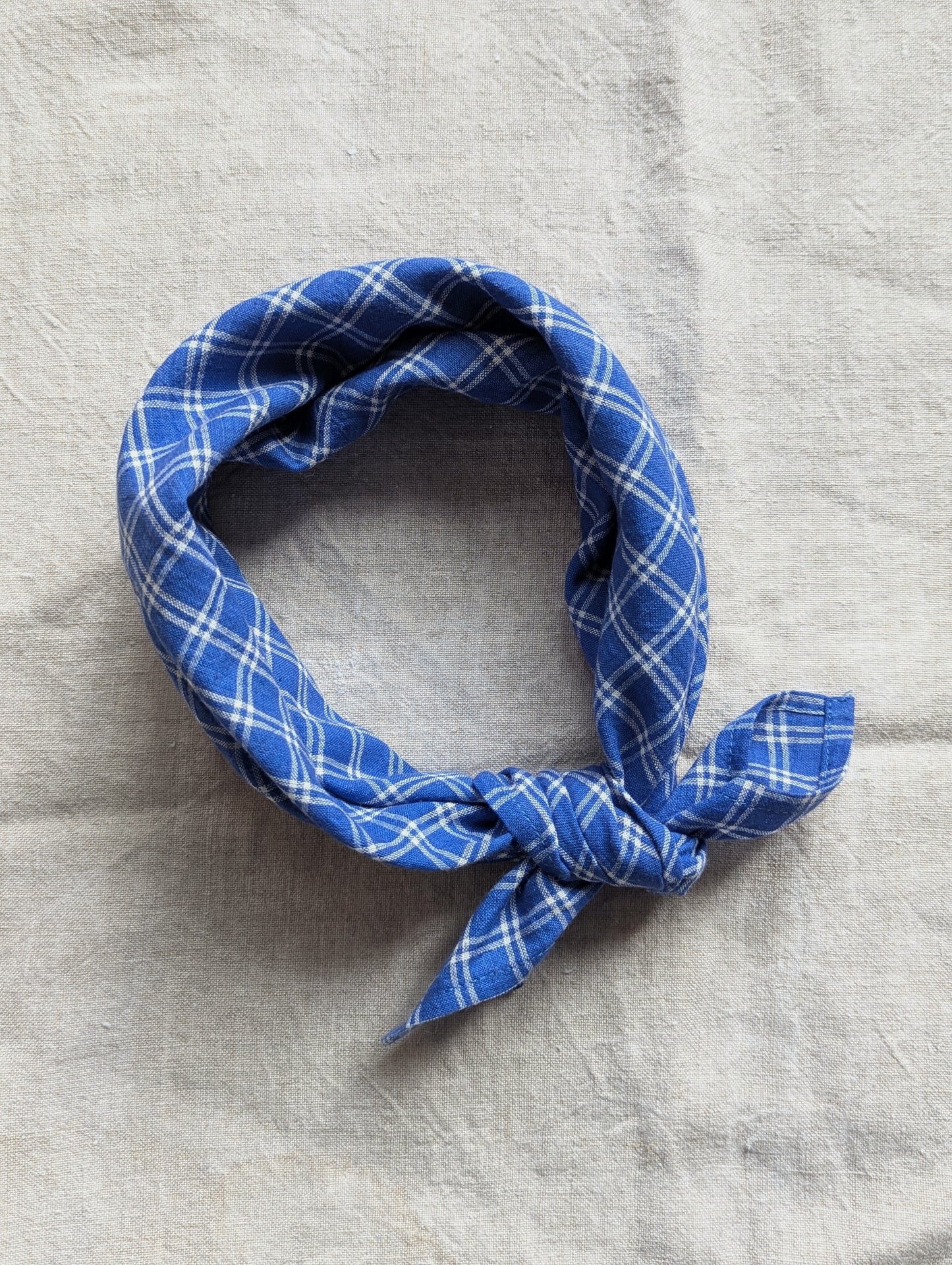 Neckerchief : Neelu Checks