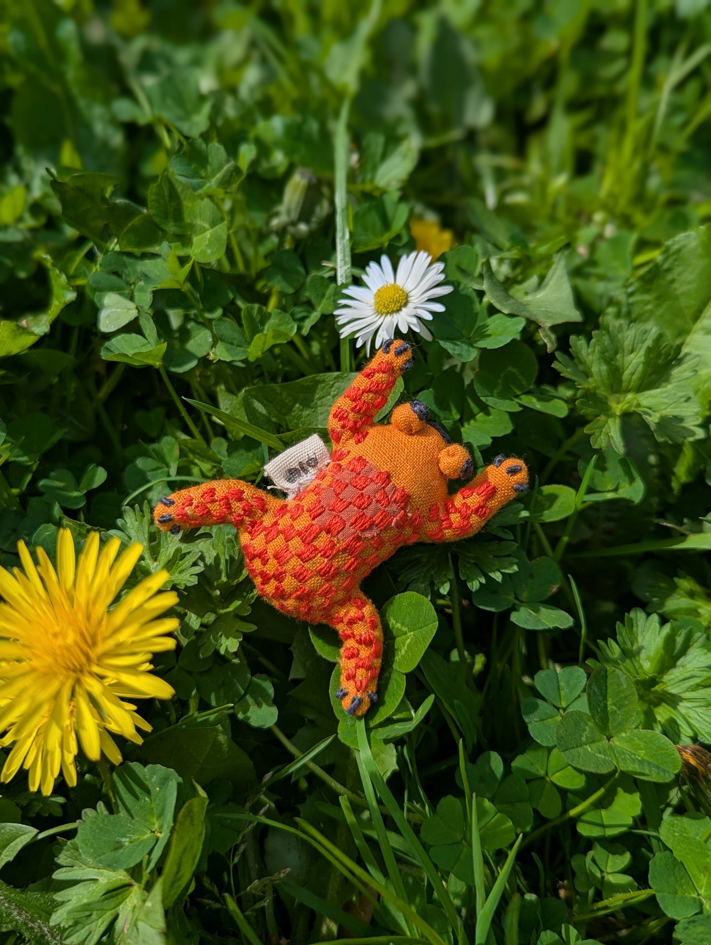 Mendhak Frogs