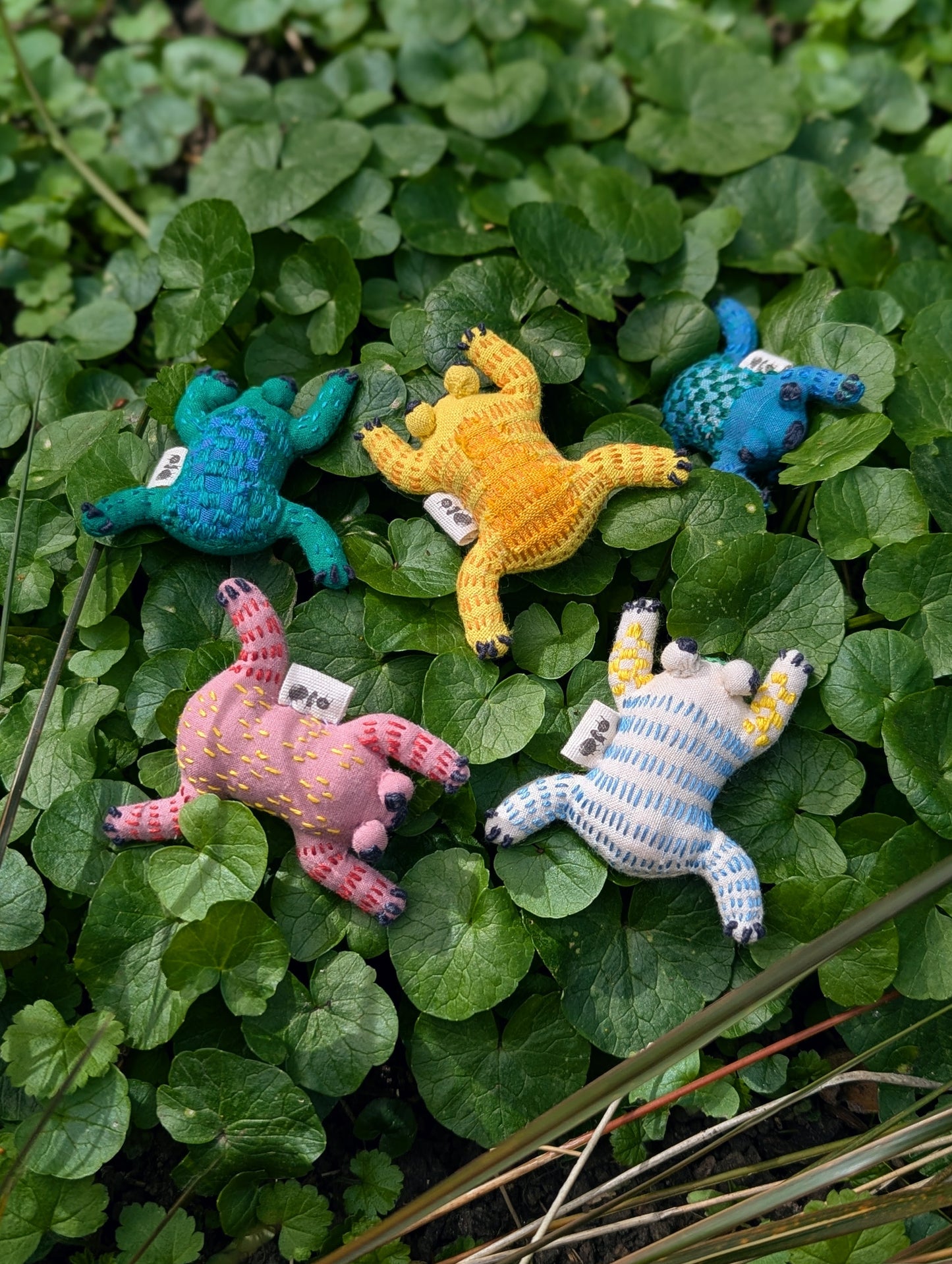 Mendhak Frogs