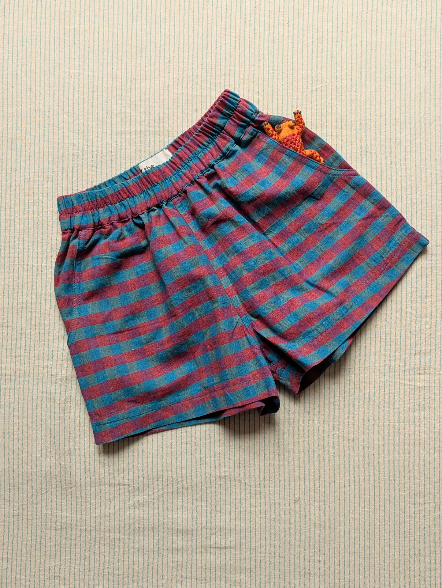 NEW Carnival Kurma Kids Shorts