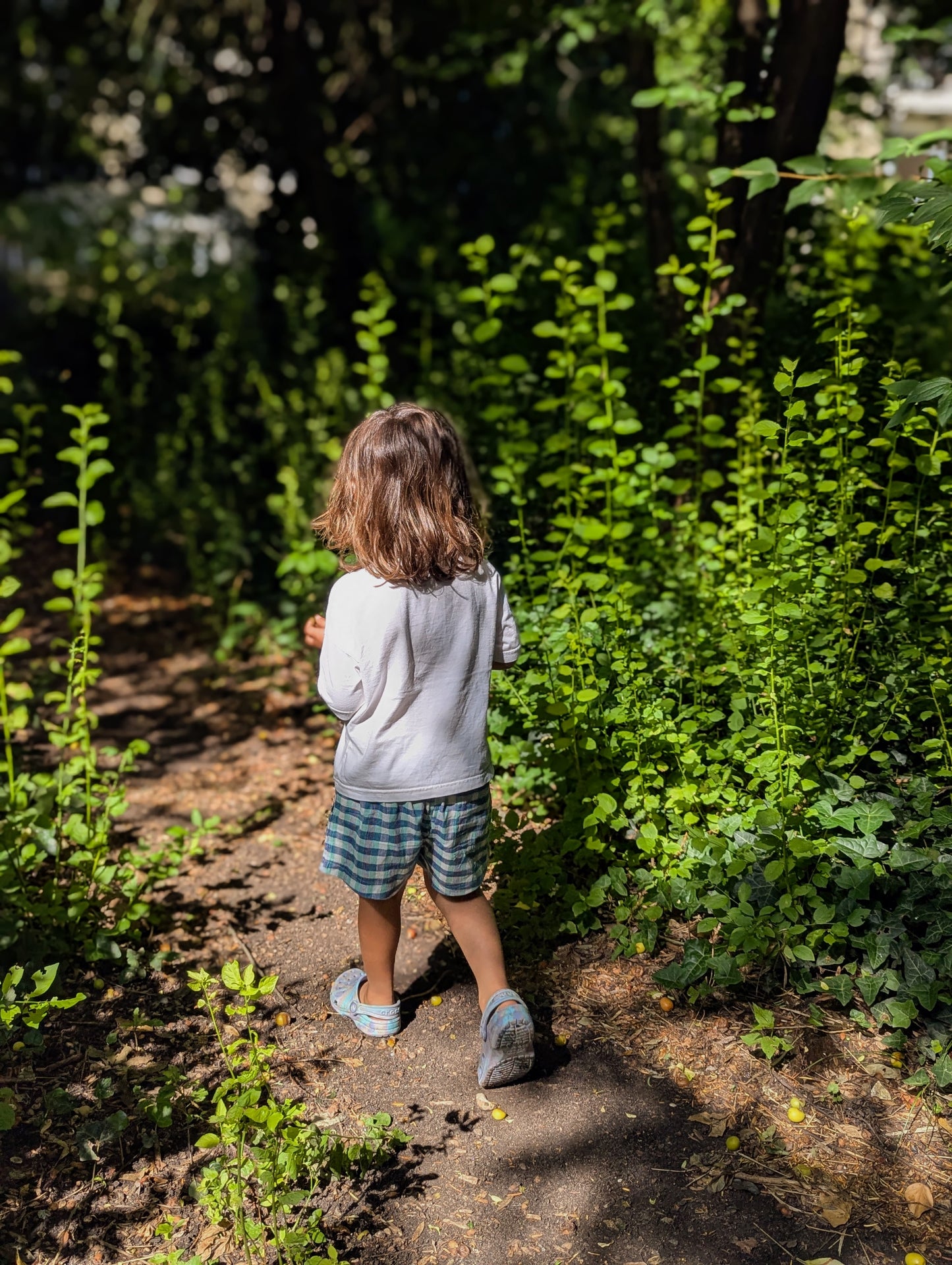 NEW Seaglass Kurma Kids Shorts